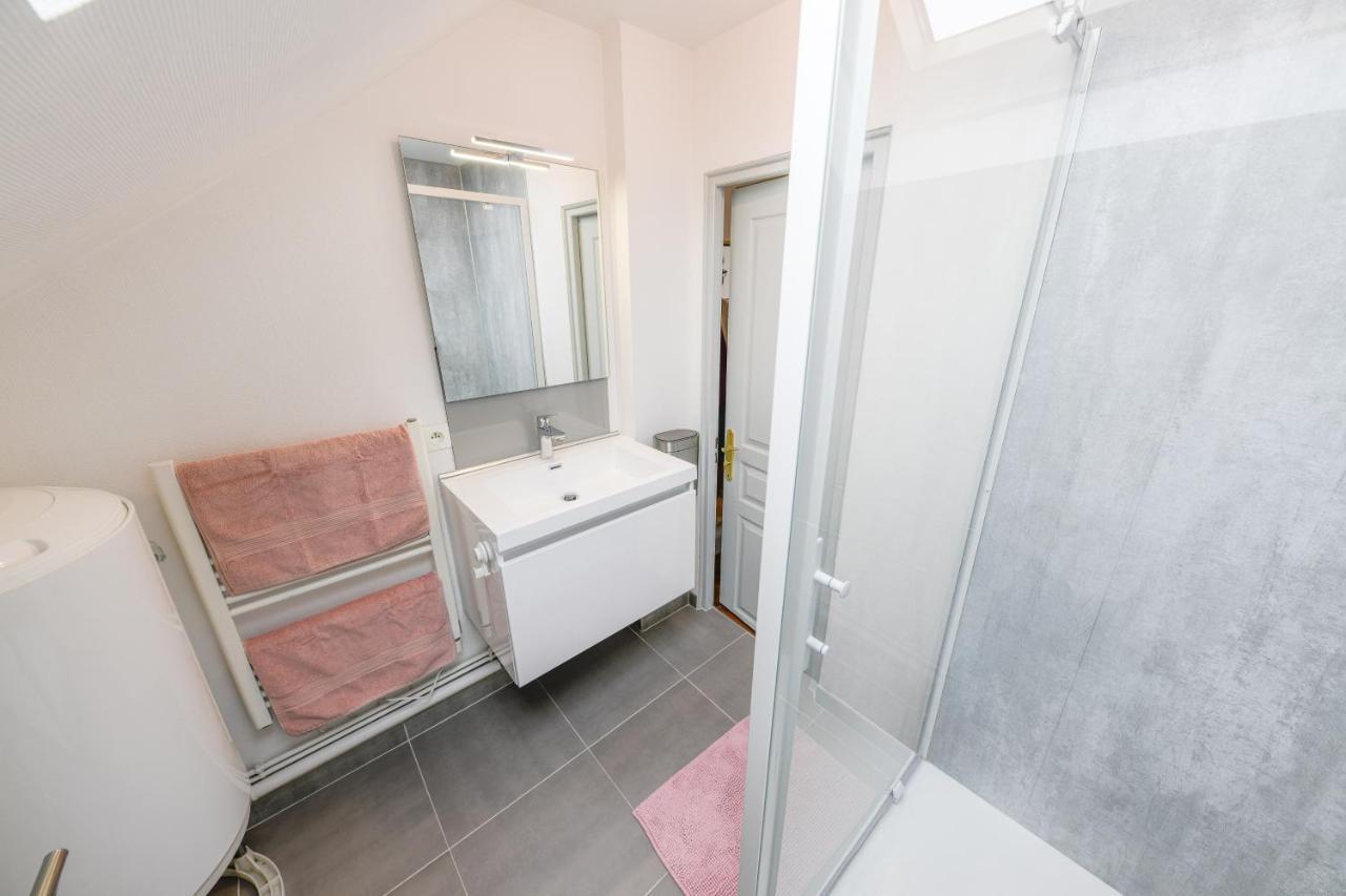 Le Colette - Parking Prive Apartment Troyes Luaran gambar